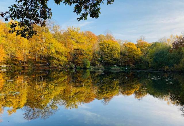 Autumnal lake